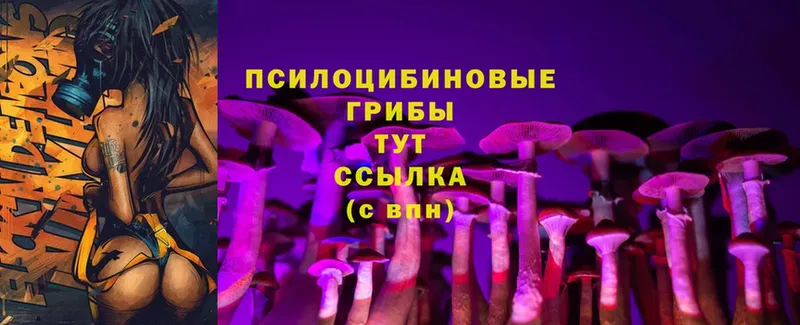 Галлюциногенные грибы MAGIC MUSHROOMS  МЕГА сайт  Добрянка 